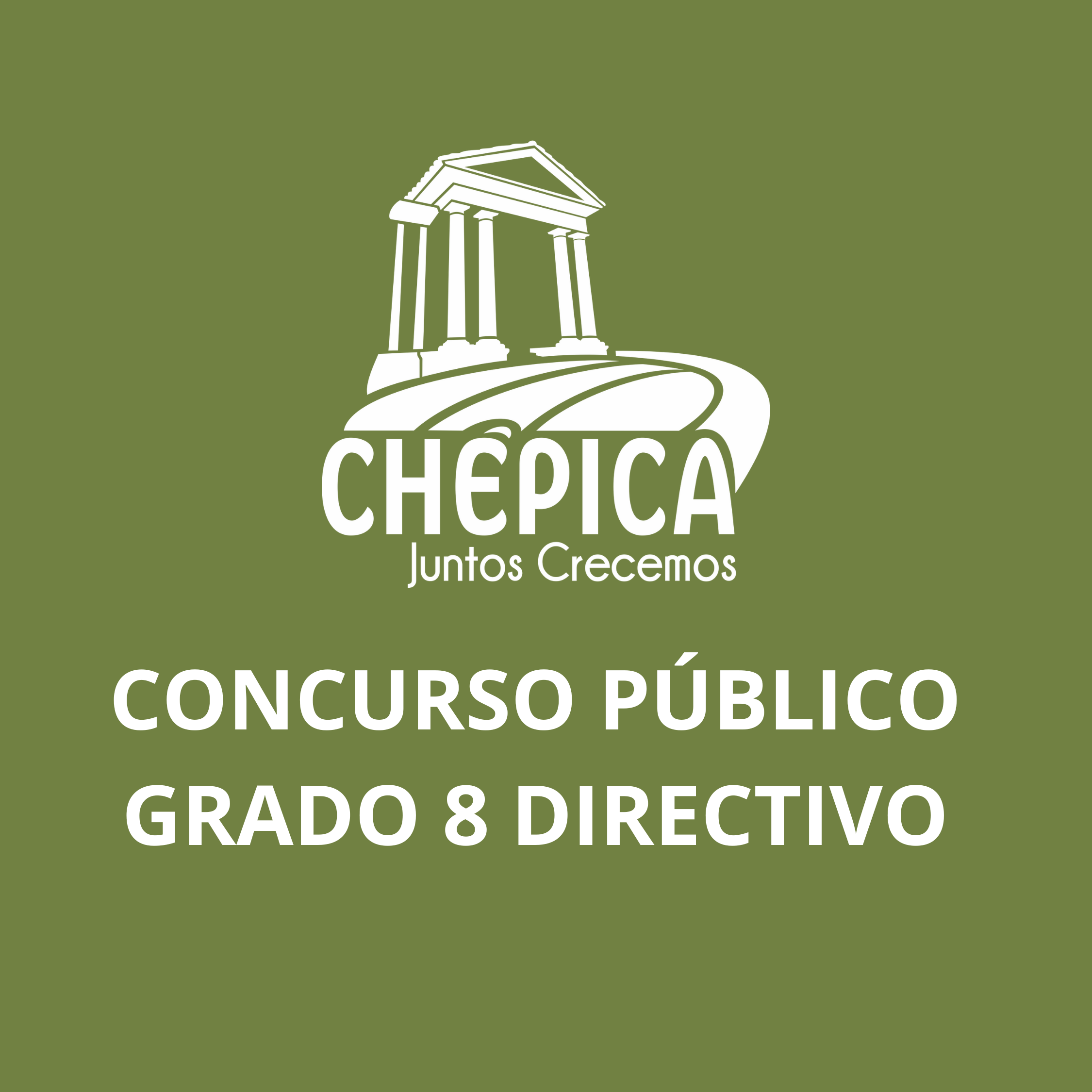 CONCURSO PUBLICO GRADO 8 DIRECTIVO IM CHEPICA