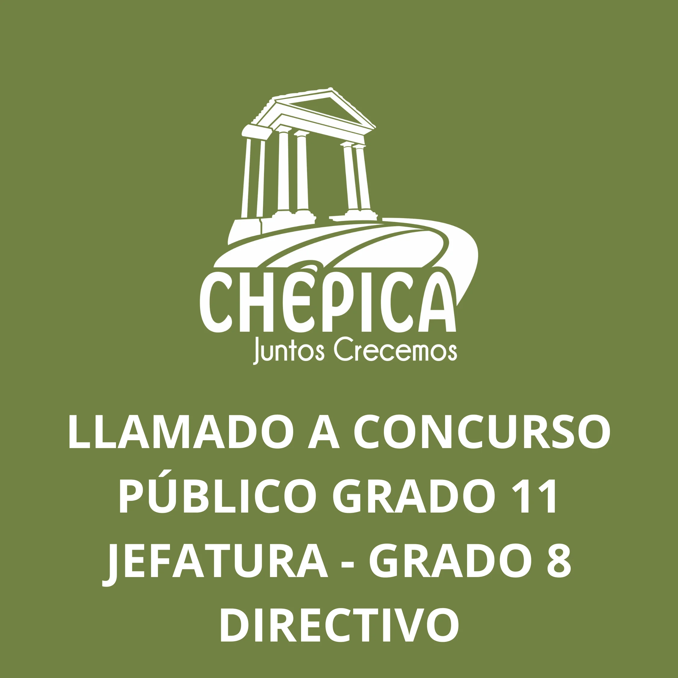 REVOCACIÓN - LLAMADO CONCURSO PÚBLICO GRADO 11 JEFATURA - GRADO 08 DIRECTIVO